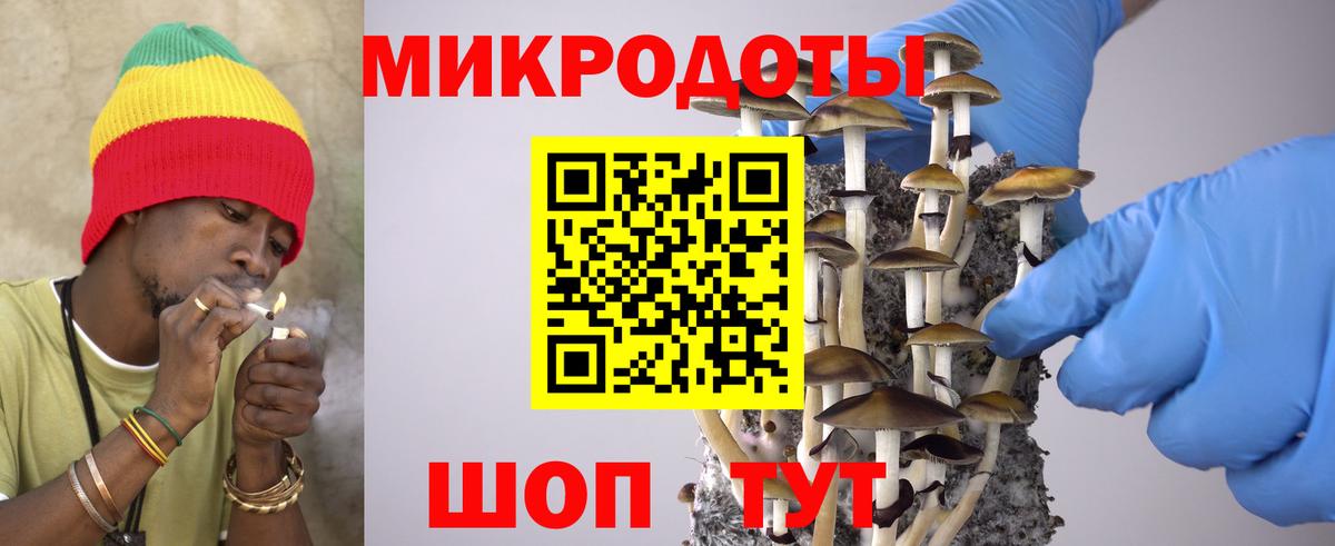 где найти   Псилоцибиновые грибы Psilocybine cubensis  Вход с VPN  Похвистнево 
