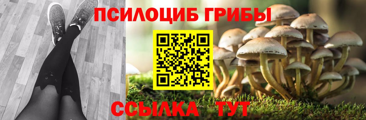 Галлюциногенные грибы ЛСД Похвистнево